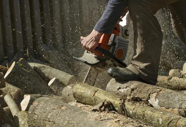 Best Tree Service South Lake Tahoe for Fast & Safe Solutions Codys Tree Service