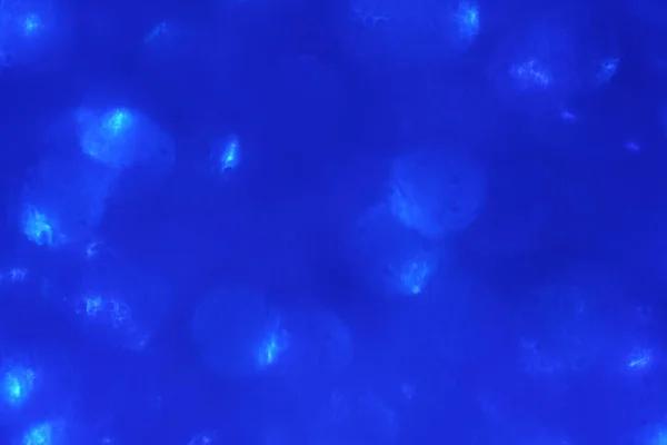 Professional Transfection Reagents for Reliable Laboratory Applications