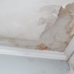 Water Damage Repair in Oregon City Services You Can Rely On