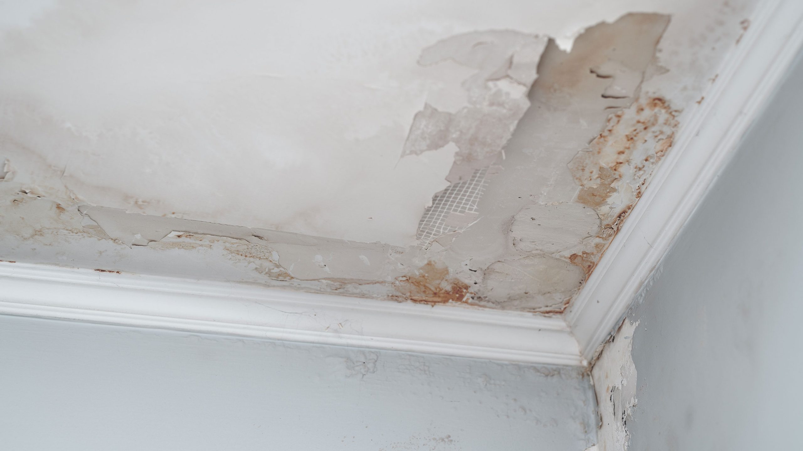 Water Damage Repair in Oregon City Services You Can Rely On